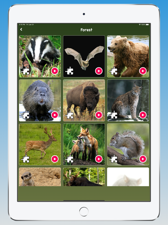 Animal Sounds, Animal Language iPad screenshot 3 - Education app