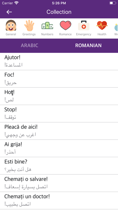Screenshot #2 pour Arabic Romanian Dictionary