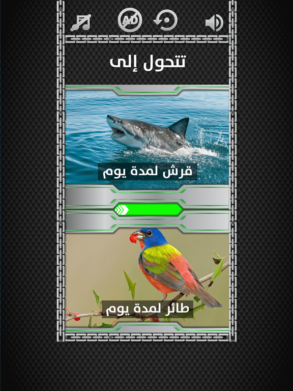 لو خيروك مع مستر شووت iPad screenshot 4 - Entertainment app