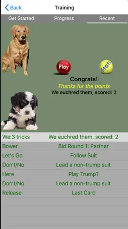 K9 Euchre screenshot 4