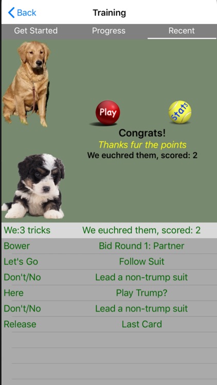 K9 Euchre screenshot-3