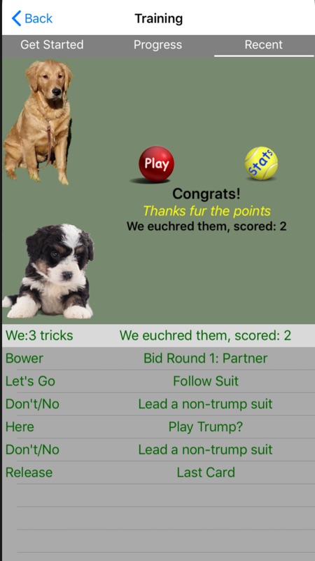 K9 Euchre screenshot 4