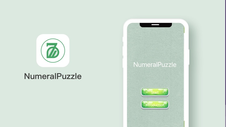 NumeralPuzzle