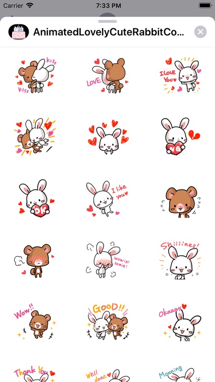 Animated Cute Rabbit Couple screenshot-3