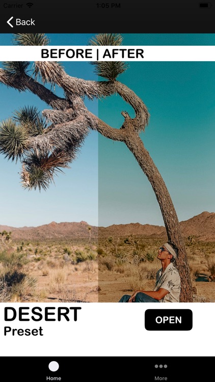 FreeLightroomPresets.com screenshot-9
