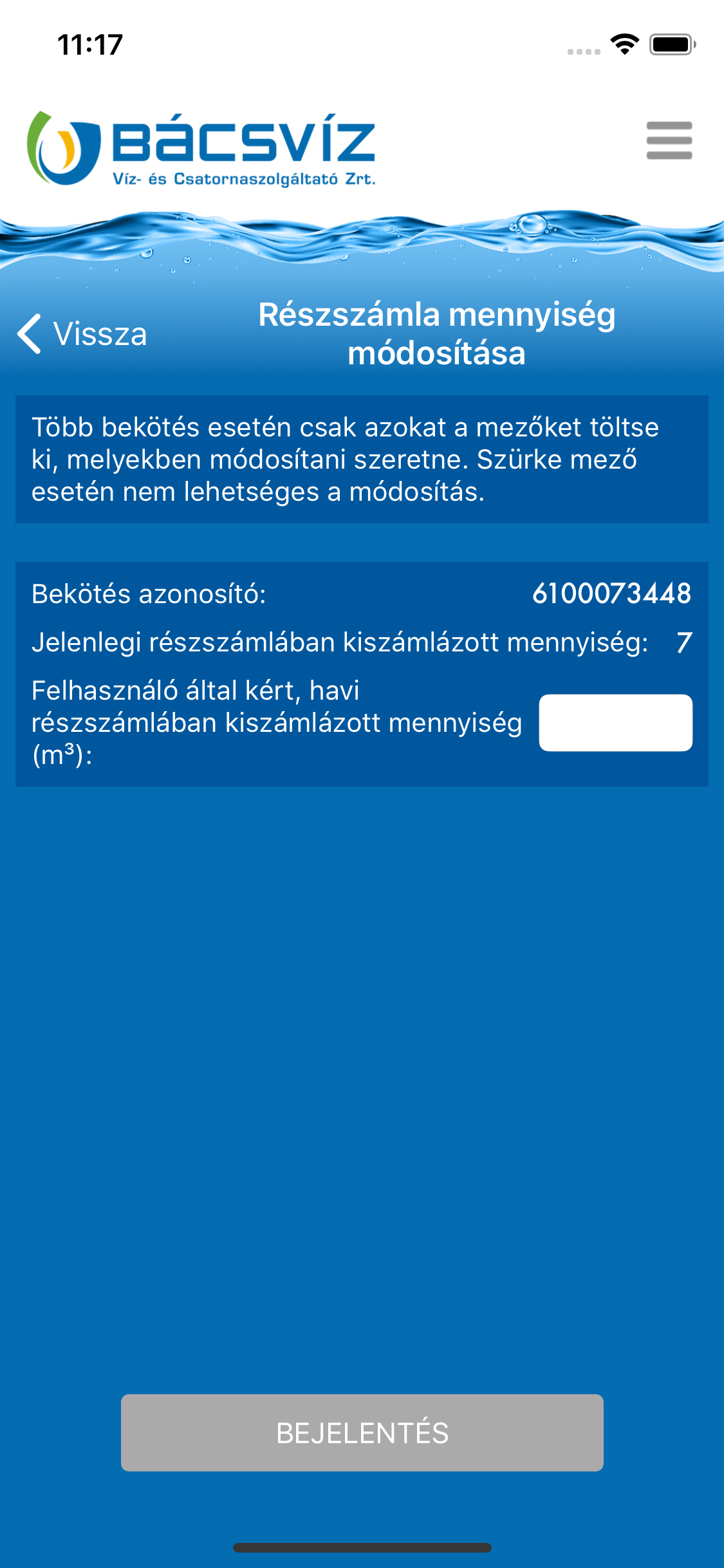 BÁCSVÍZ