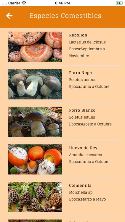 Micorracin screenshot-3