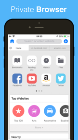Private Browser ⊘ screenshot