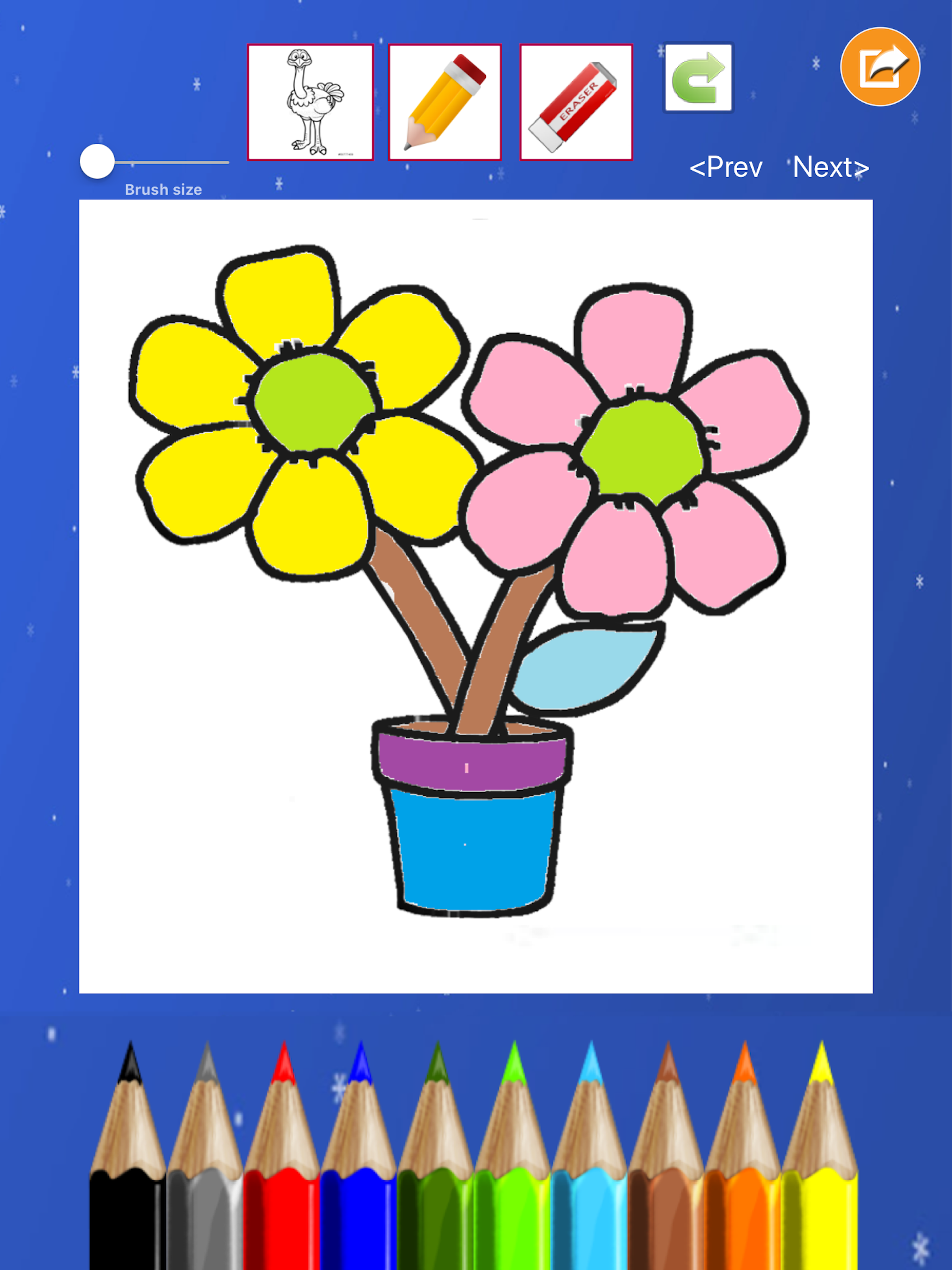 Flower Coloring Drawing book
