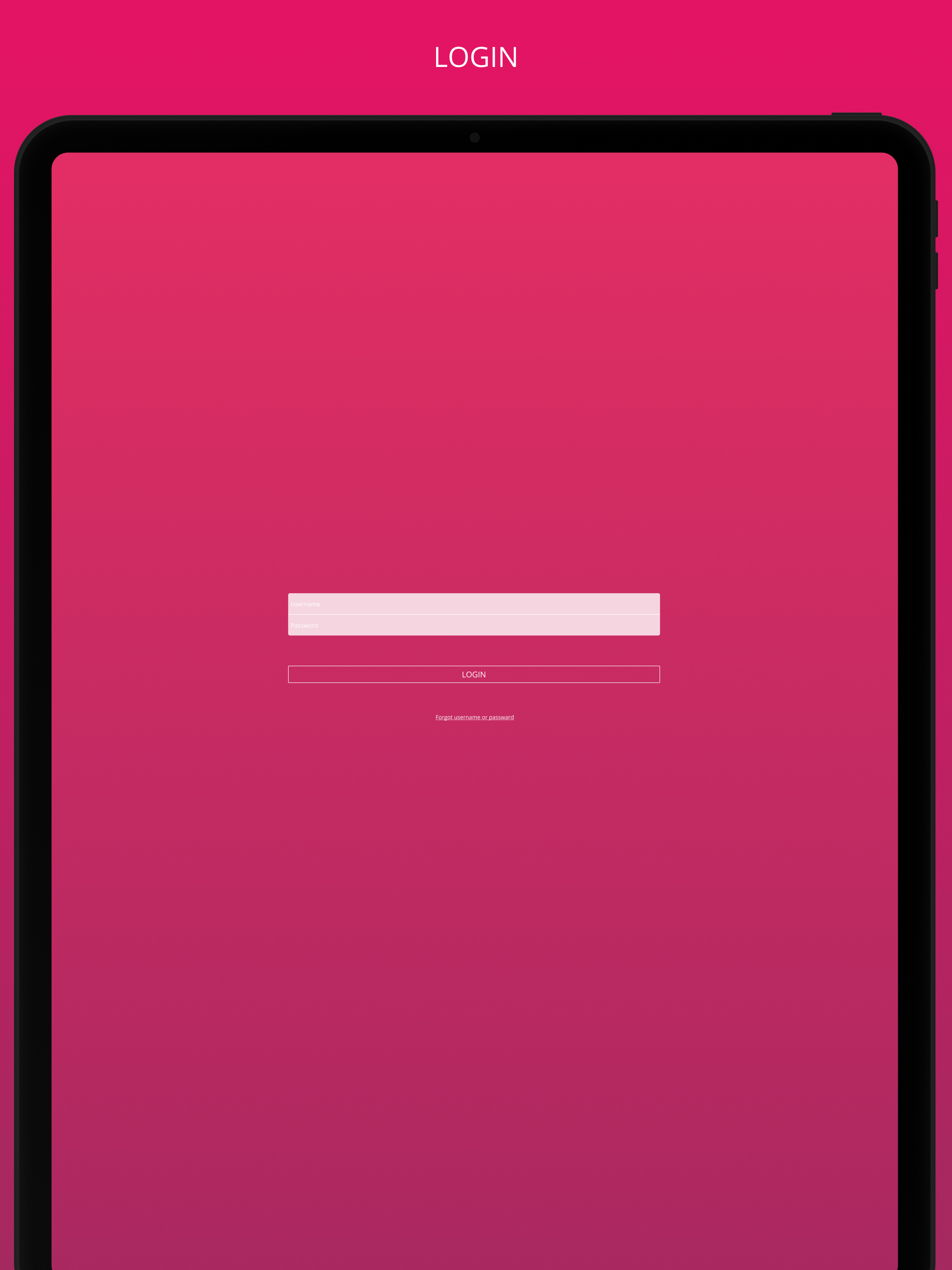 FX View