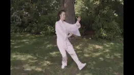 tai chi for beginners 48 form iphone images 4