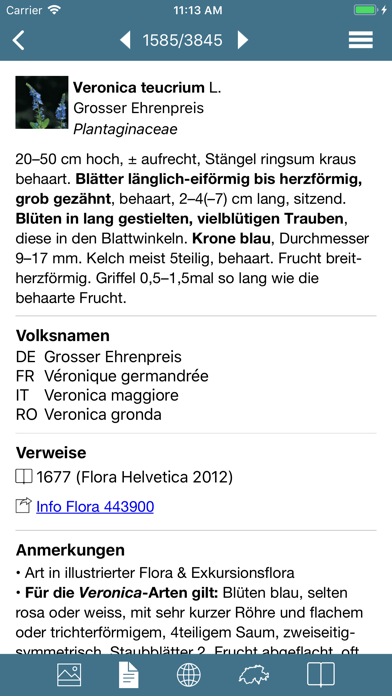 Flora Helvetica Mini deutsch Screenshot