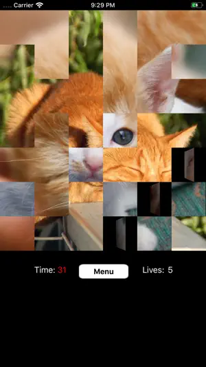 Flipping Fun screenshot 4