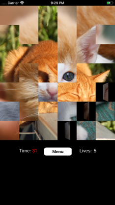 Flipping Fun screenshot 4