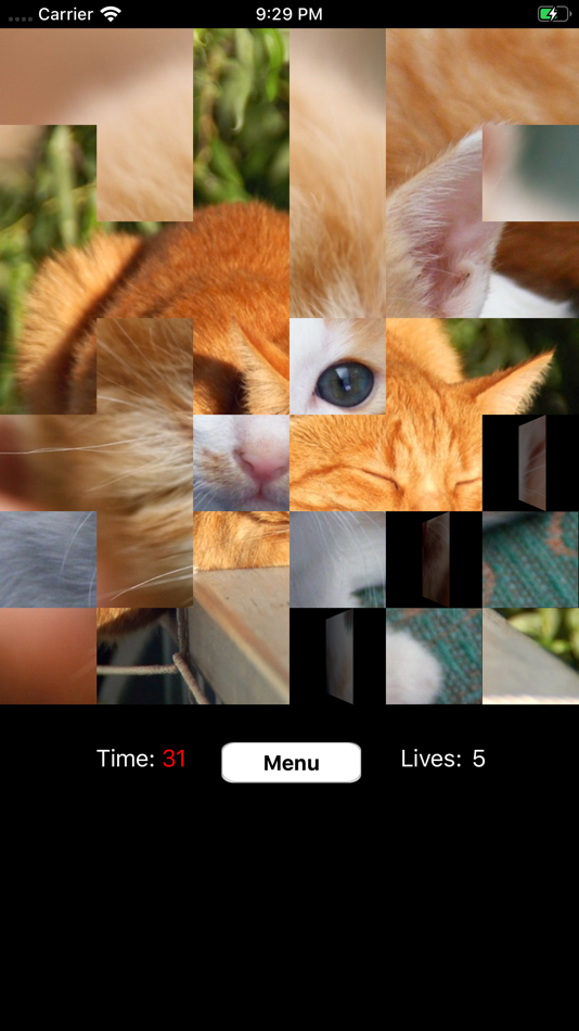 #4. Flipping Fun (iOS) 由: Nicholas Dean