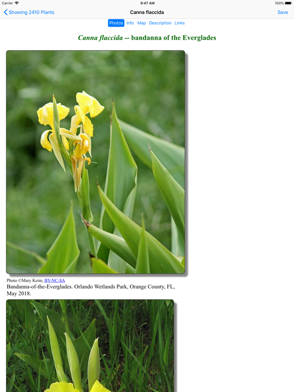 Screenshot #6 pour Florida Wildflowers