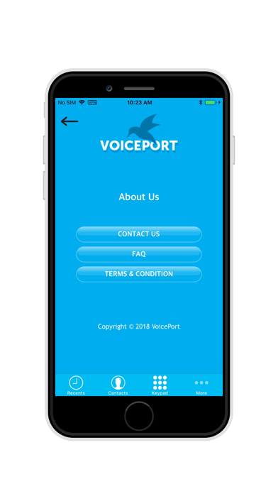 VoicePort Screenshot