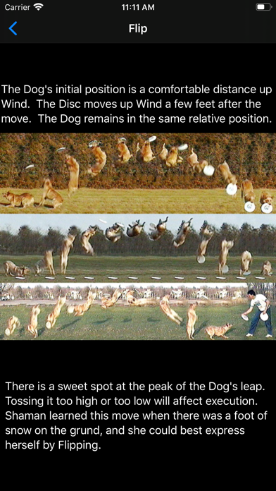 Dog, Disc, and Wind Screenshot
