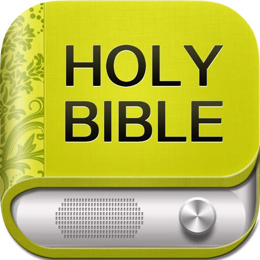 Holy Bible study audio NIV icon