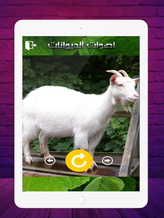 Screenshot #5 pour 2020 اصوات الحيوانات