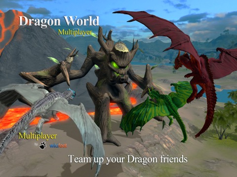 Dragon Multiplayer 3Dのおすすめ画像1