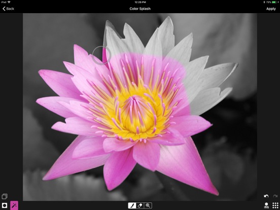 ACDSee iPad app afbeelding 3