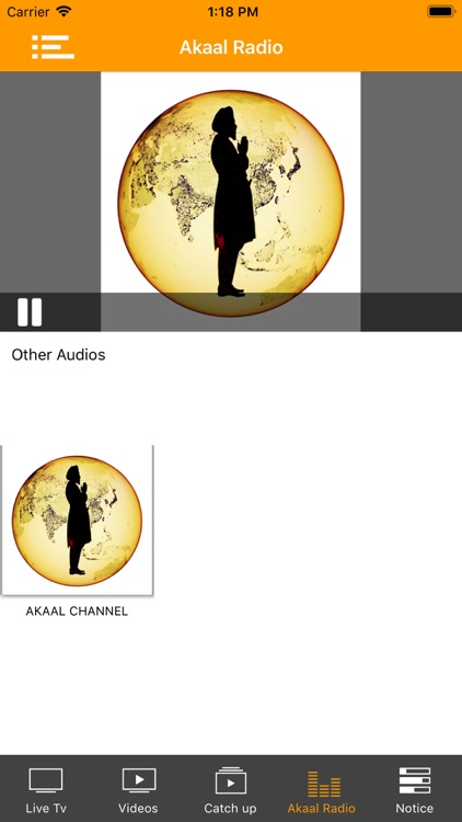 Akaal Channel screenshot-5
