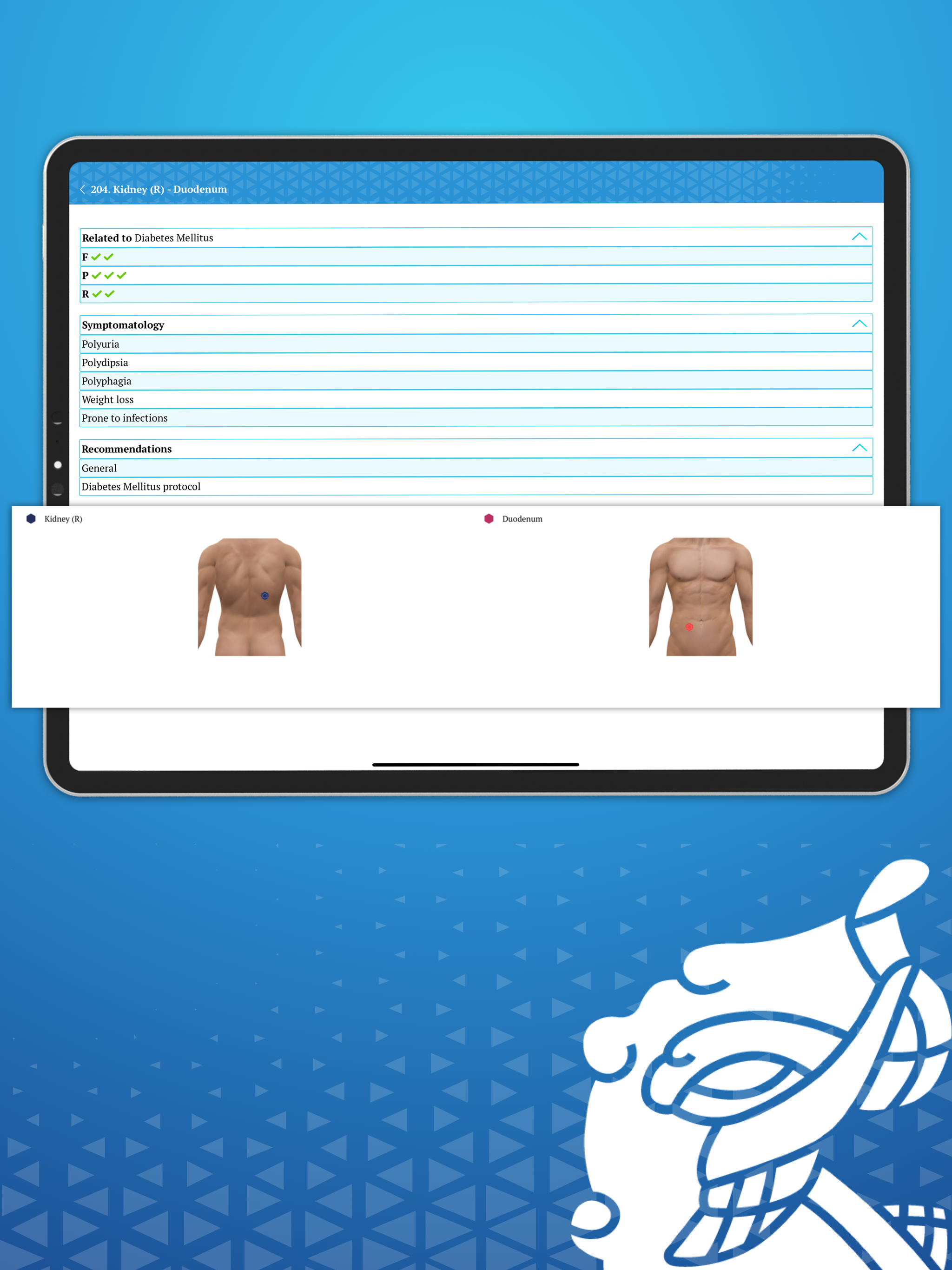 Guía de Pares Biomagnéticos screenshot 10