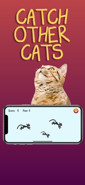 Giochi per gatti su App Store