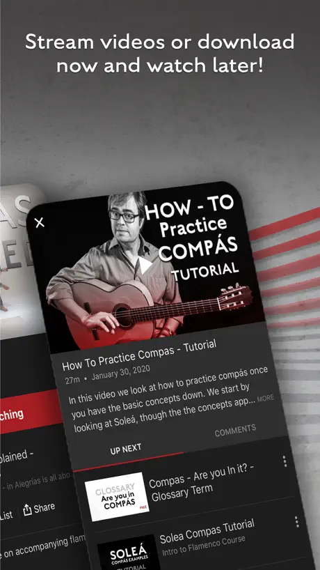 Flamenco Explained