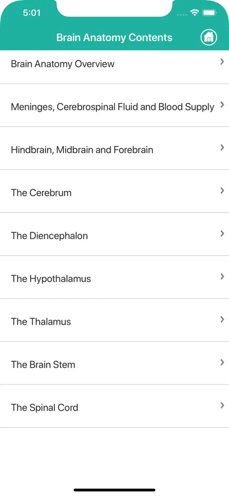 Learn Brain Anatomy