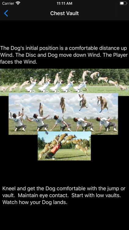 Dog, Disc, and Wind screenshot-3