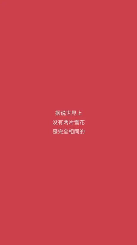 新电梯专家
