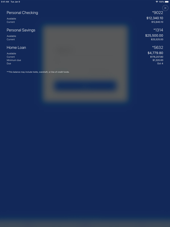 Screenshot #4 pour FNB Mobile Banking
