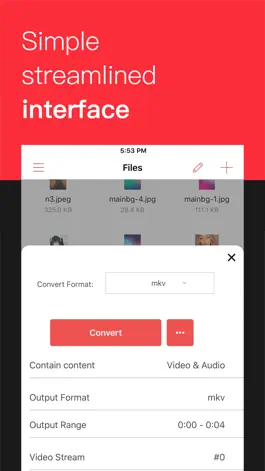 Game screenshot iConv - Video & PDF Converter hack