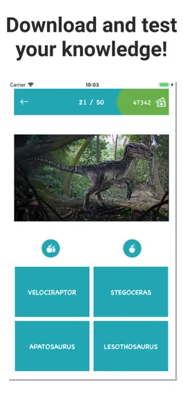 Game screenshot Dinosaurs - Dino Quiz Games hack