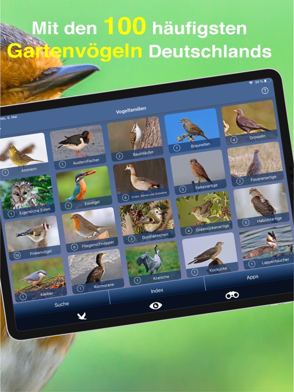 Screenshot #6 pour Vogel Id Gartenvögel bestimmen