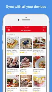 paprika recipe manager 3 not working image-1
