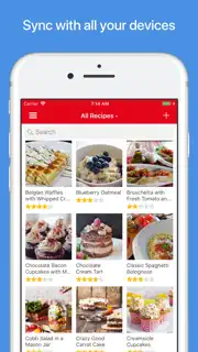 Paprika Recipe Manager 3 screenshot 1