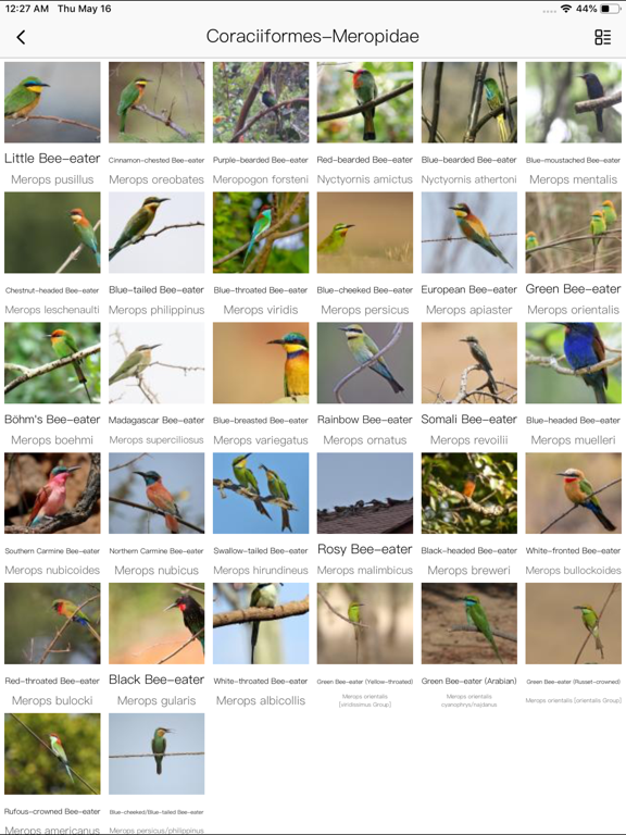 Bird ID Pro-Picture&Audioのおすすめ画像5