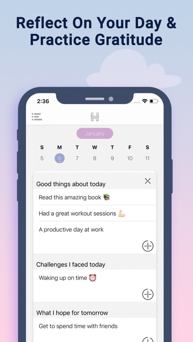 The Happiness Planner Screenshot