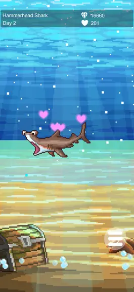 Game screenshot Shark -  Grow with a tap hack