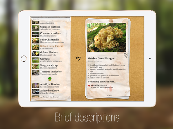 Screenshot #4 pour Le guide des champignons