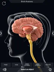 my brain anatomy ipad resimleri 3