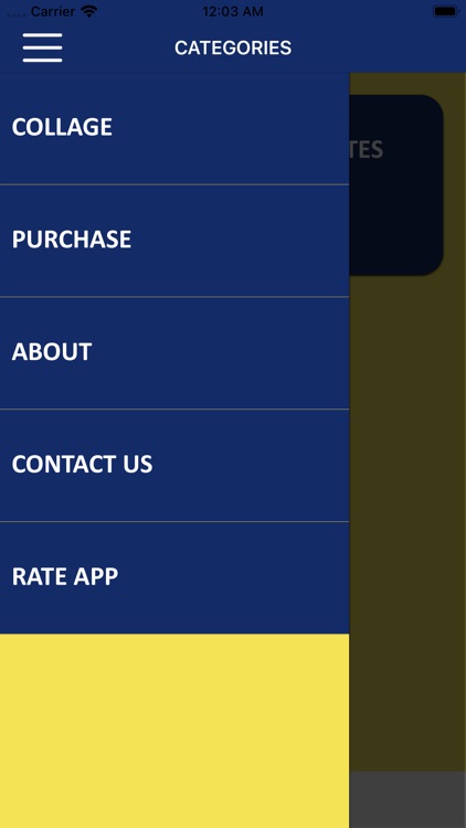 George Michael Wisdom