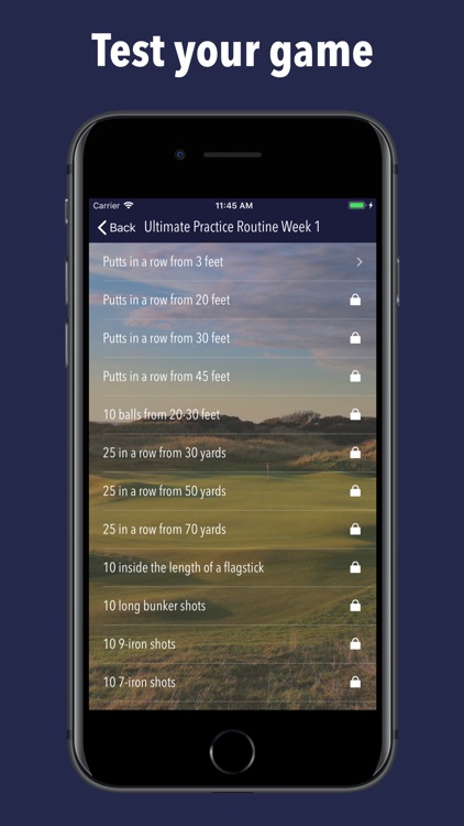 Pro Golf Practice