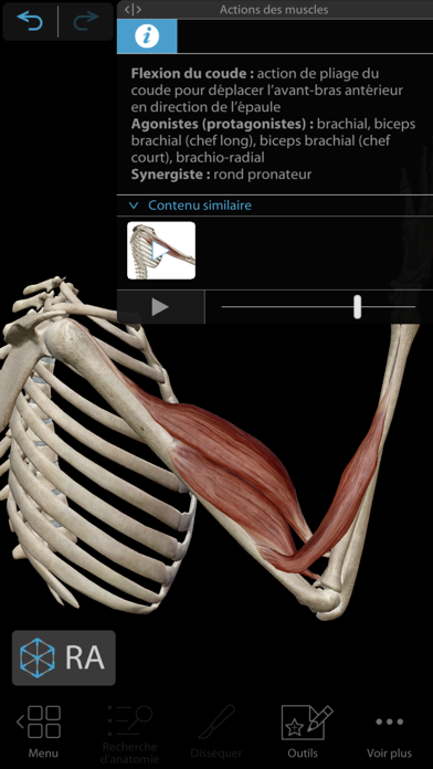 Muscles & Kinésiologie Muscles & Kinésiologie