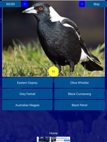 Bird Quiz - Birds of Australiaのおすすめ画像6