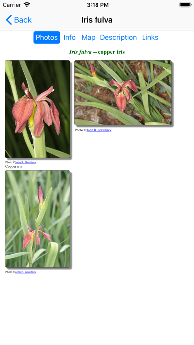 Missouri Wildflowers Screenshot