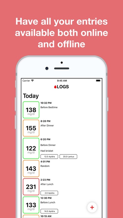 Diabetes Logs Screenshot